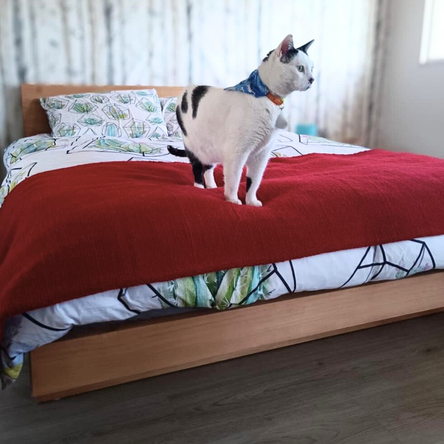 Cama OMI Caramelo