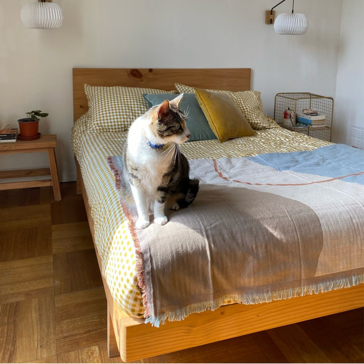 Cama OMI Miel