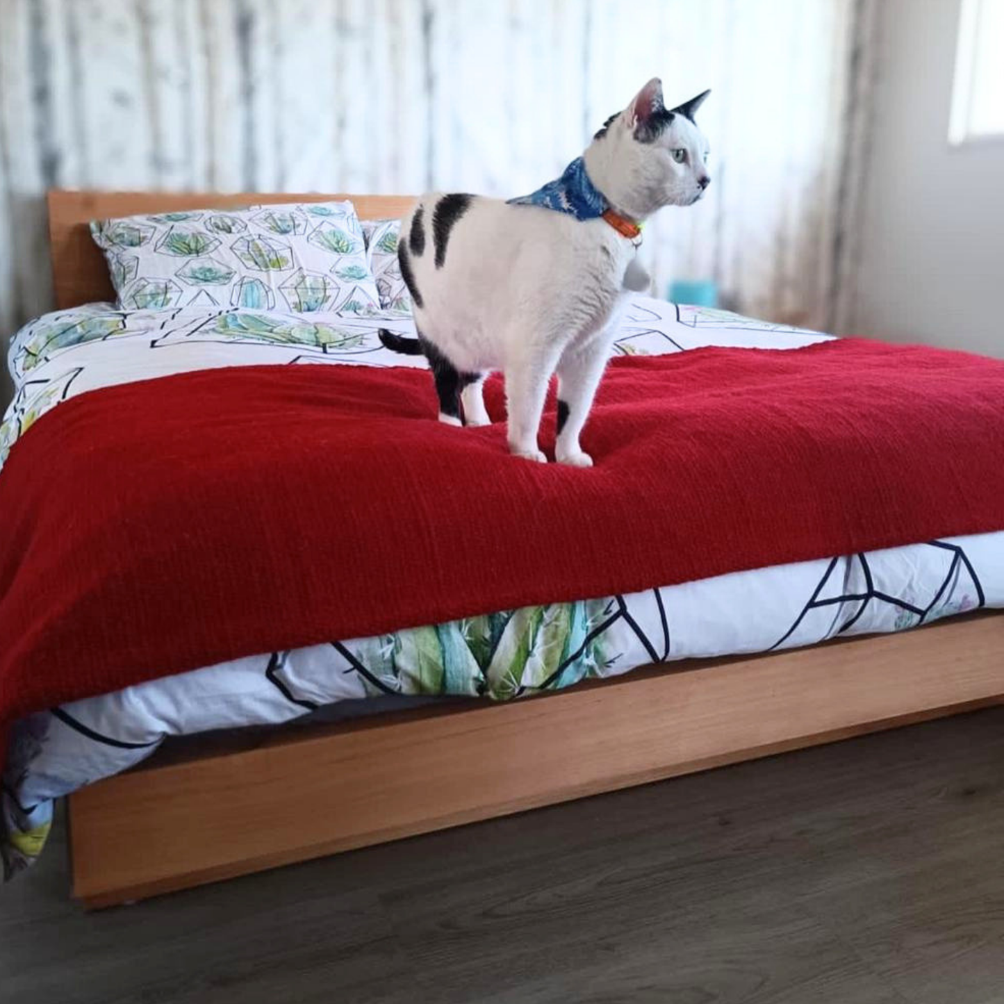 Cama OMI Caramelo