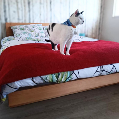 Cama OMI Caramelo