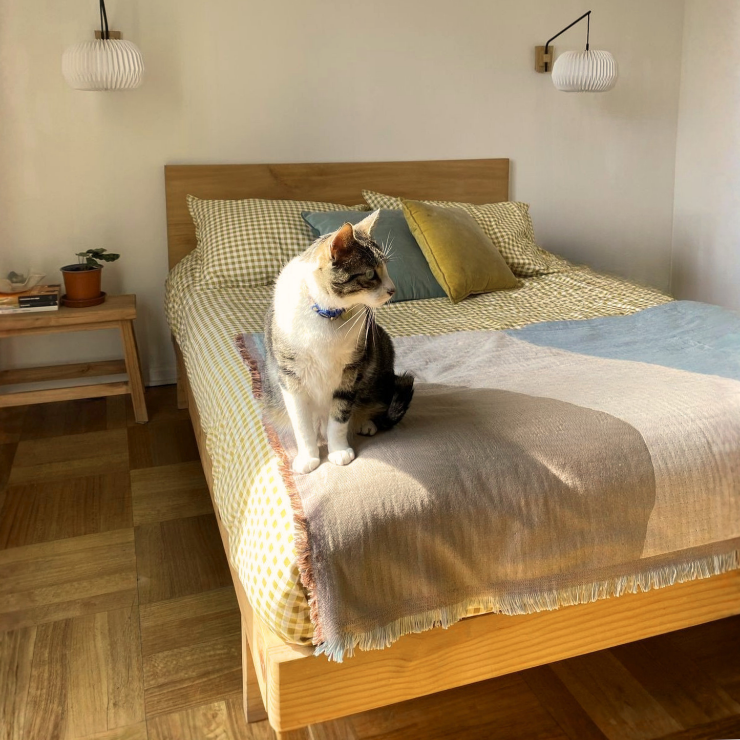 Cama OMI Miel